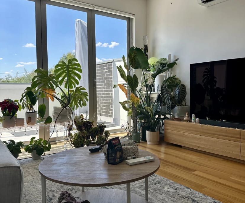 Room in a share house