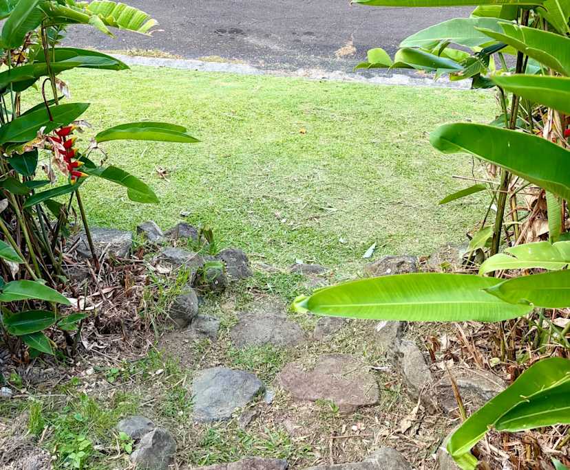 $450, Studio, 1 bathroom, Byron Bay NSW 2481