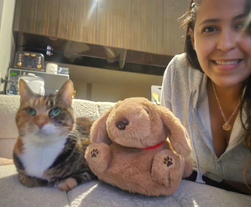 $250, Share-house, 2 bathrooms, Chirnside Park VIC 3116