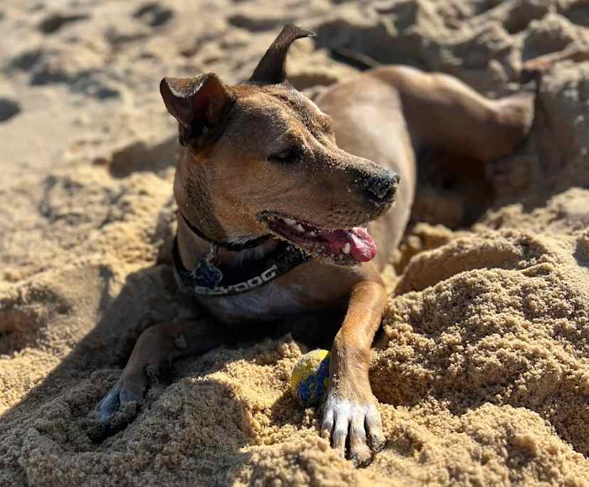 $300, Share-house, 2 bathrooms, Cardiff NSW 2285