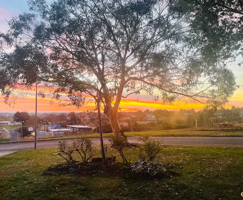 Room in a share house