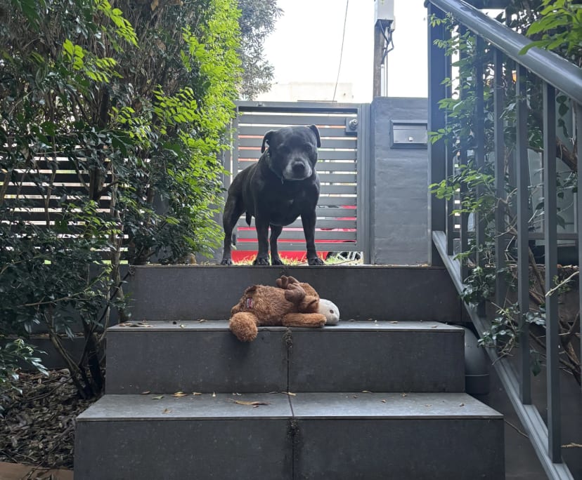 $640, Share-house, 2 bathrooms, Coogee NSW 2034