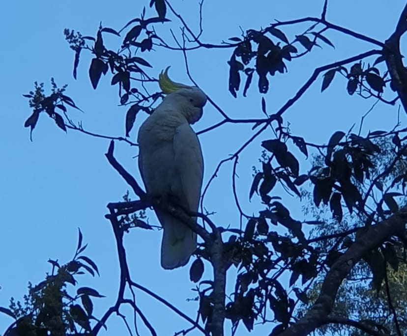 $300-350, Share-house, 4 rooms, Berry Springs NT 0838, Berry Springs NT 0838