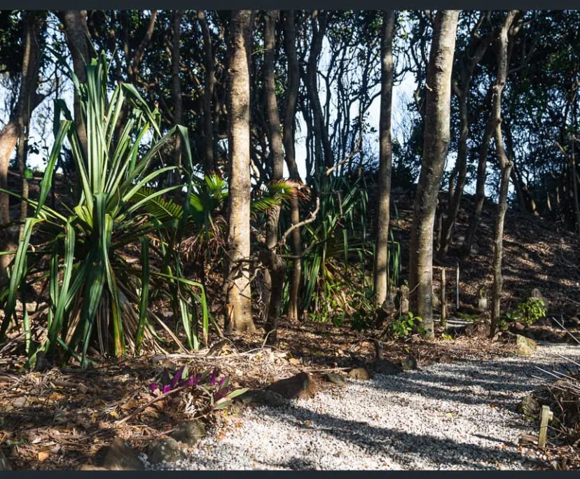 $375, Share-house, 3 bathrooms, Suffolk Park NSW 2481