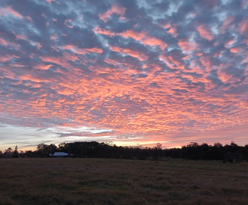 Room for Rent in Witta, QLD 100, Furnished, Own b...