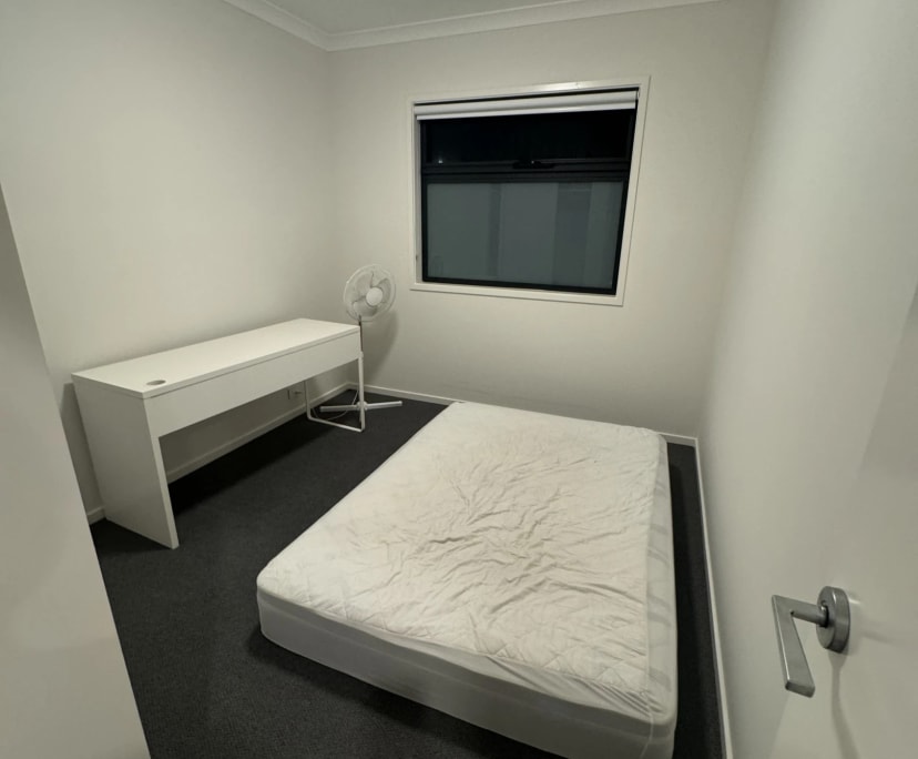 Room in a share house