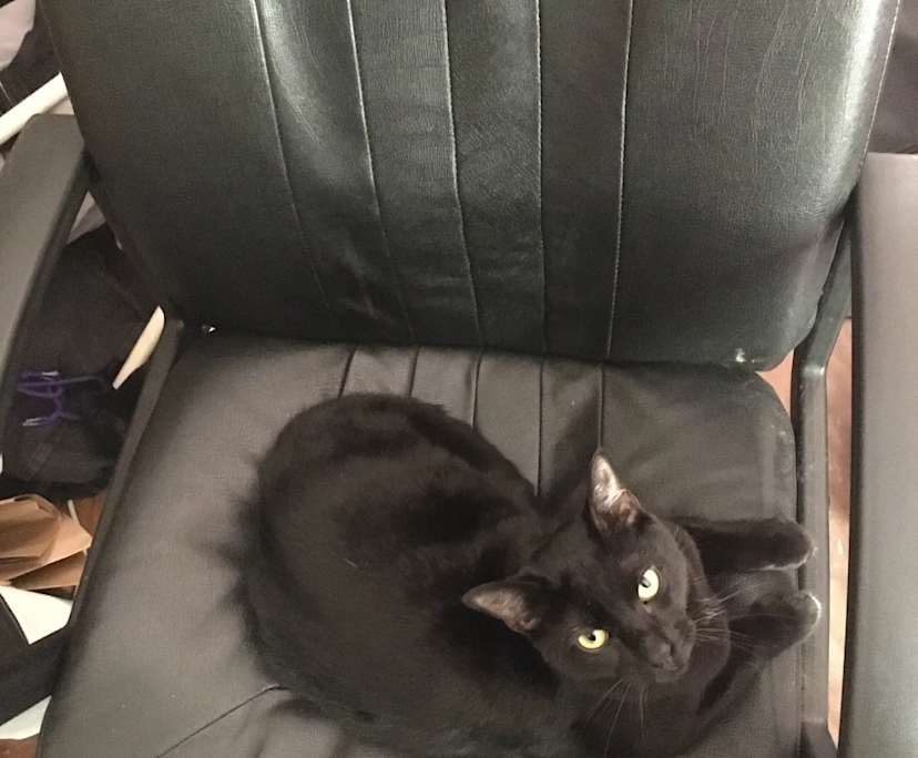 Room with own bathroom