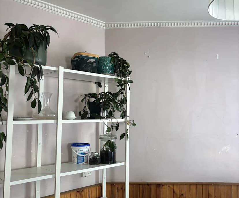 Whole property with 2 rooms for rent