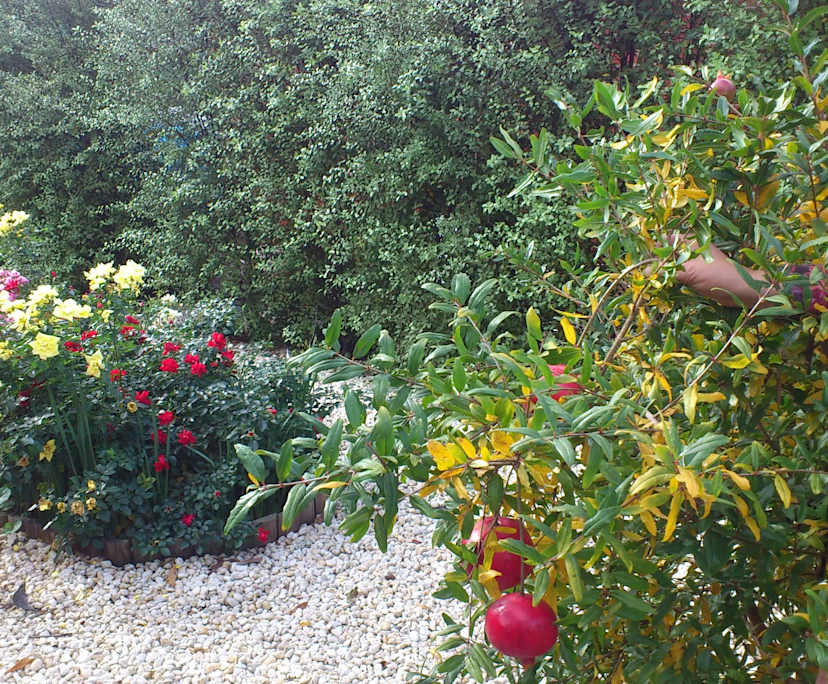 $195, Share-house, 4 bathrooms, West Footscray VIC 3012