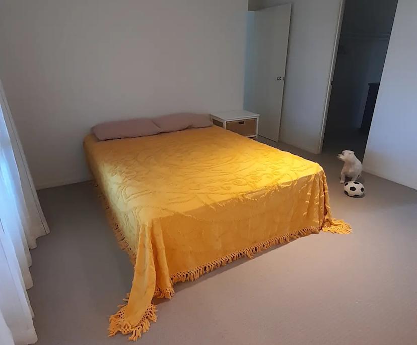 Room in a share house