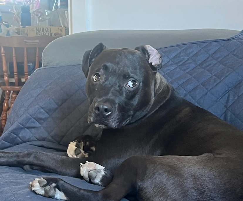 $290, Share-house, 2 bathrooms, Riverwood NSW 2210