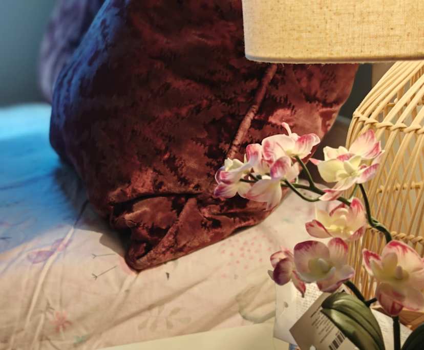 $245-335, Share-house, 3 rooms, Waitara NSW 2077, Waitara NSW 2077