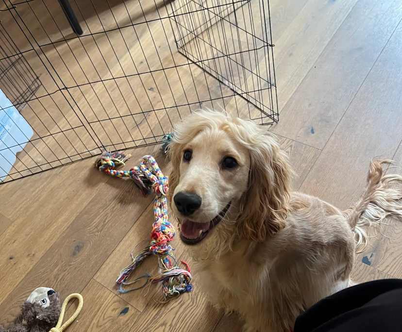 $637, Share-house, 2 bathrooms, Bondi NSW 2026