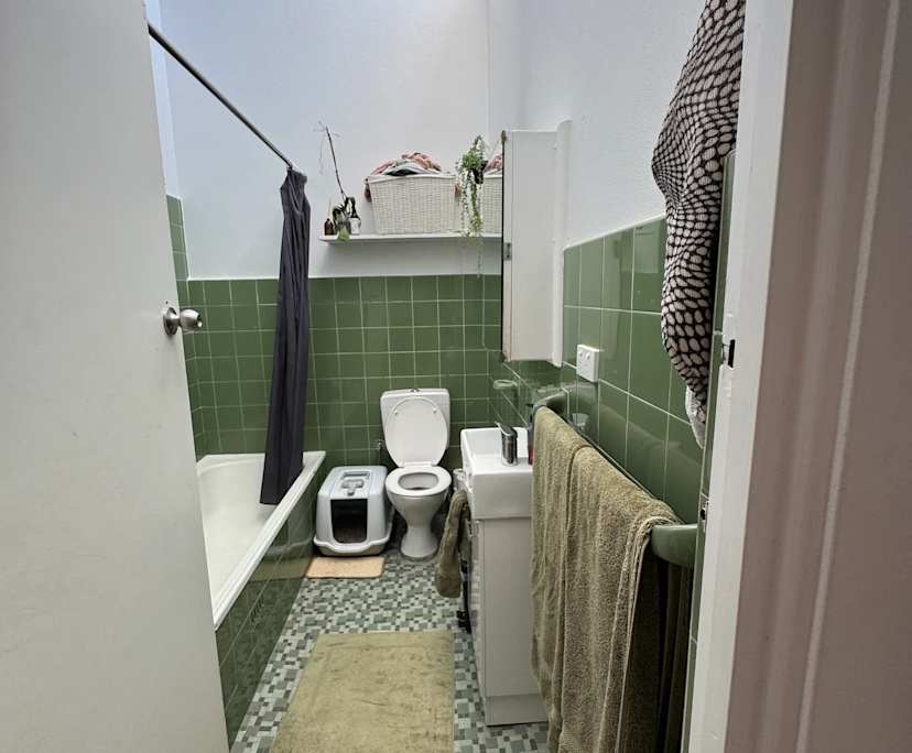 $350, Flatshare, 2 bathrooms, Curl Curl NSW 2096