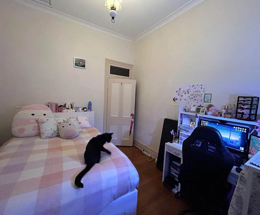 Room in a share house