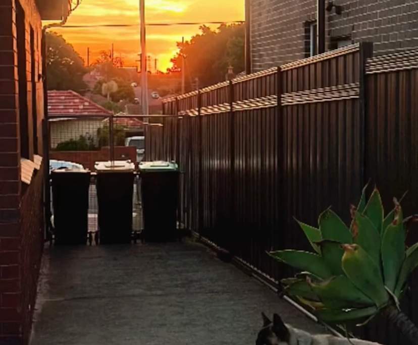 $1,300, Homestay, 2 bathrooms, Kingsgrove NSW 2208