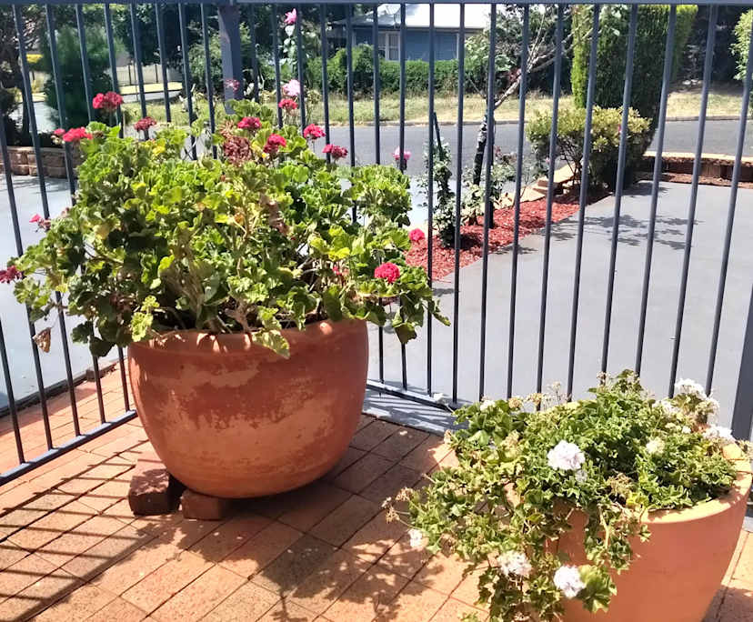 $340, Granny-flat, 1 bathroom, Rockville QLD 4350