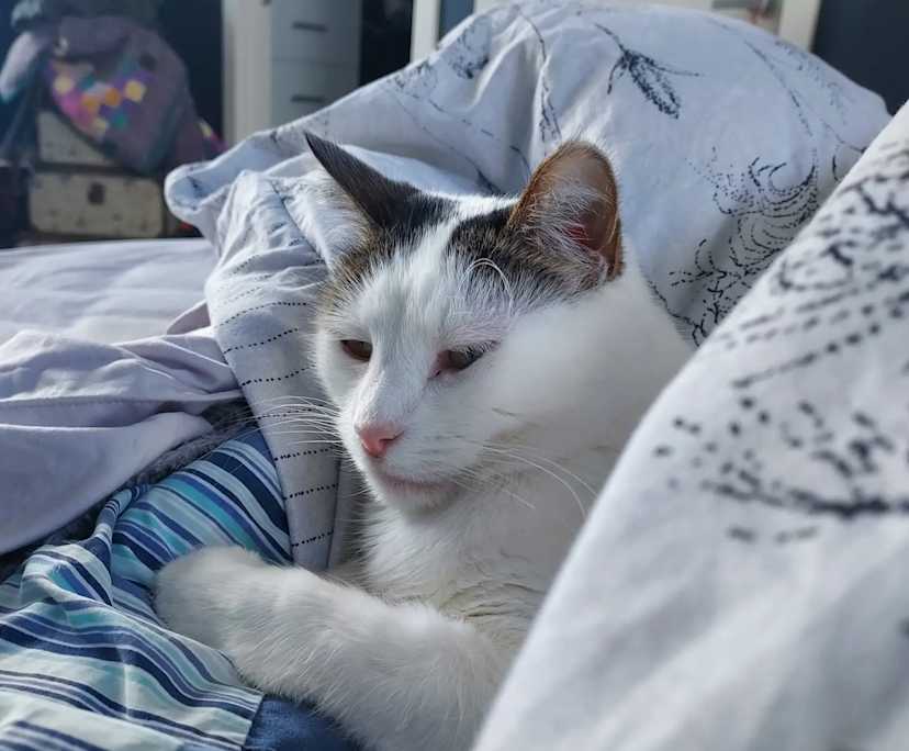 $350, Share-house, 3 bathrooms, Seaford VIC 3198