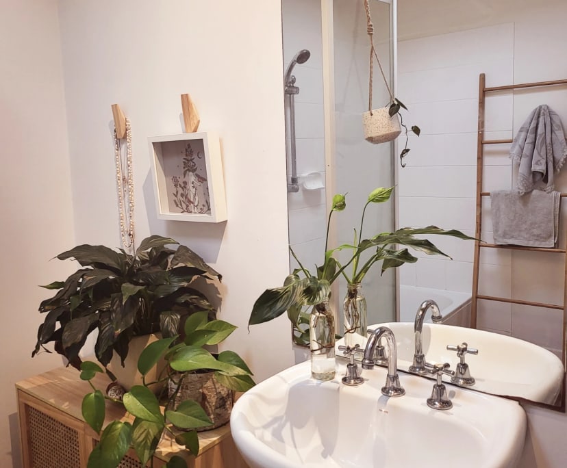 $250, Share-house, 3 bathrooms, Ocean Grove VIC 3226