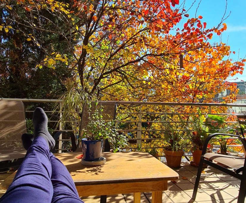 $400, Share-house, 2 bathrooms, North Melbourne VIC 3051