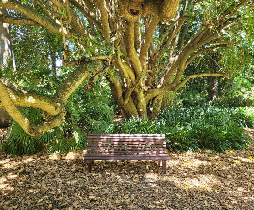 $350-450, Flatshare, 2 rooms, Melbourne VIC 3004, Melbourne VIC 3004