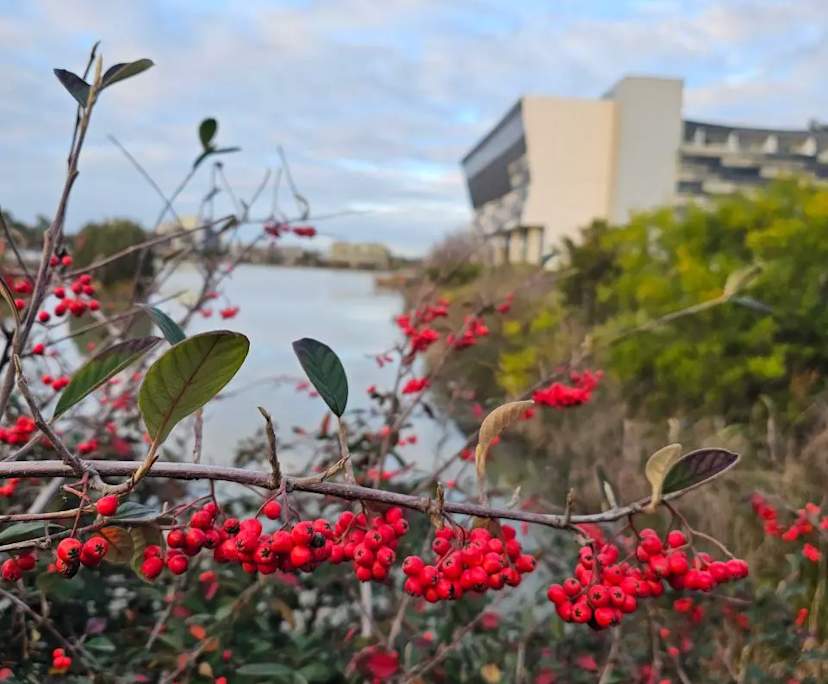 $420, Share-house, 3 bathrooms, Caroline Springs VIC 3023