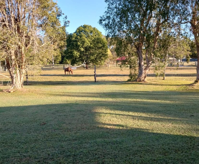 $250, Share-house, 4 bathrooms, Upper Caboolture QLD 4510