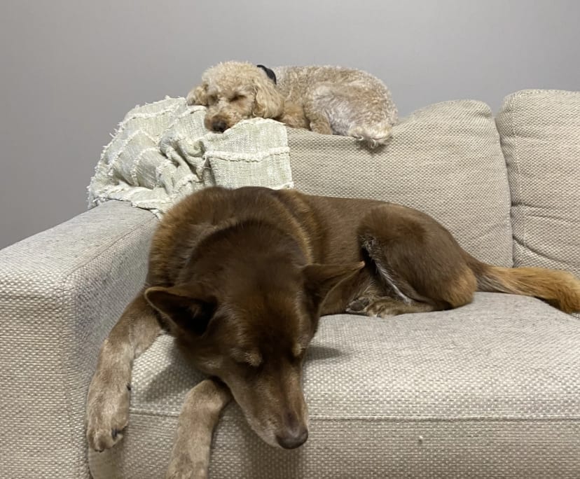 Unfurnished room in a share house