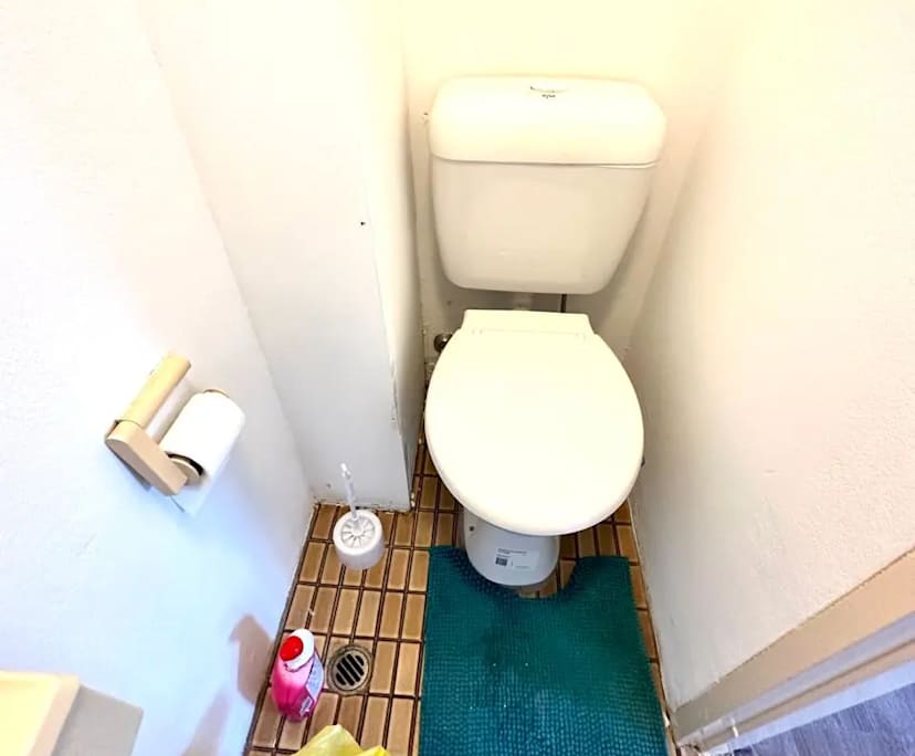 $350, Flatshare, 2 bathrooms, Parramatta NSW 2150