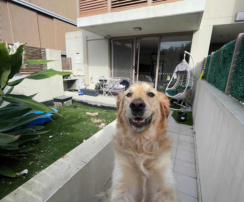 $450, Flatshare, 2 bathrooms, Vaucluse NSW 2030