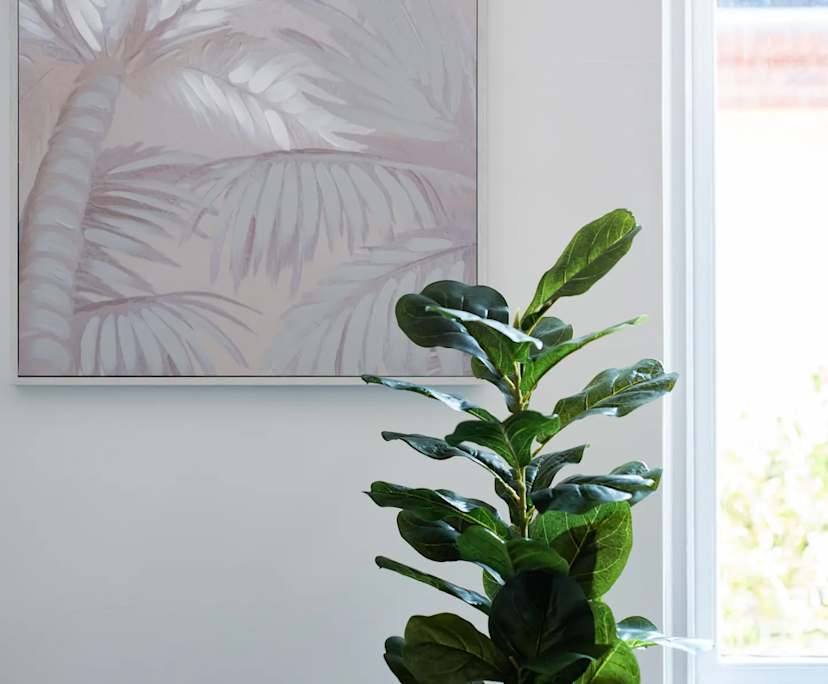 $800, Whole-property, 2 bathrooms, Saint Kilda East VIC 3183