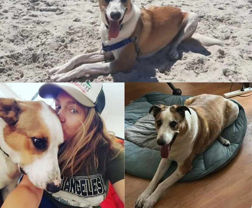 $350, Share-house, 4 bathrooms, Samson WA 6163