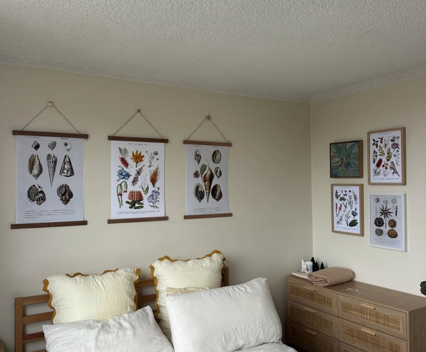 Furnished room in a flatshare