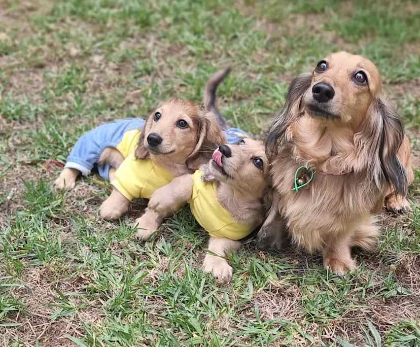 $395, Flatshare, 2 bathrooms, Docklands VIC 3008