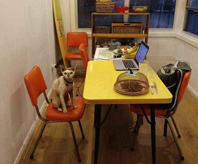 $300, Share-house, 3 bathrooms, Wollongong NSW 2500