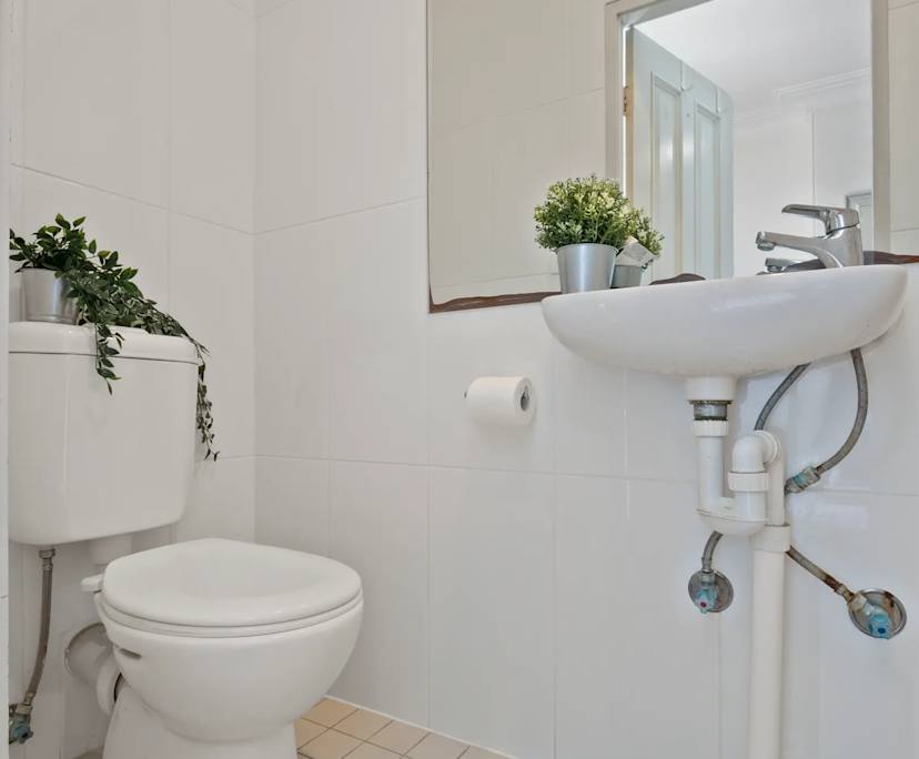 $195, Share-house, 6 bathrooms, Chippendale NSW 2008