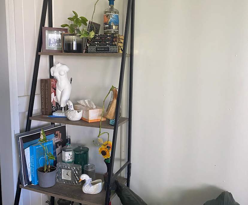 $220, Share-house, 2 bathrooms, Windsor QLD 4030