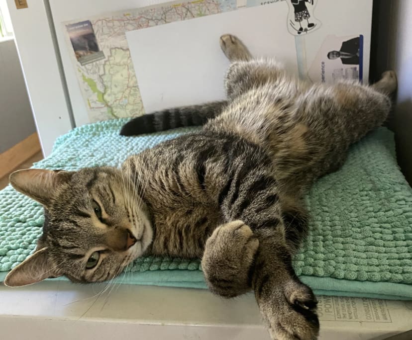 $315, Share-house, 4 bathrooms, South Brisbane QLD 4101