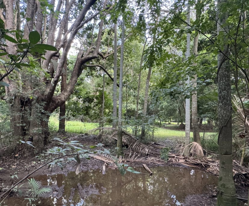 $240-420, Share-house, 2 rooms, Camira QLD 4300, Camira QLD 4300