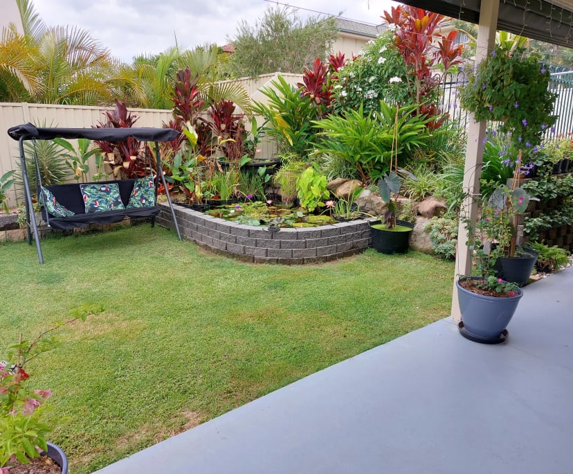 Room for Rent in Arundel, Gold Coast 350, Furnish...