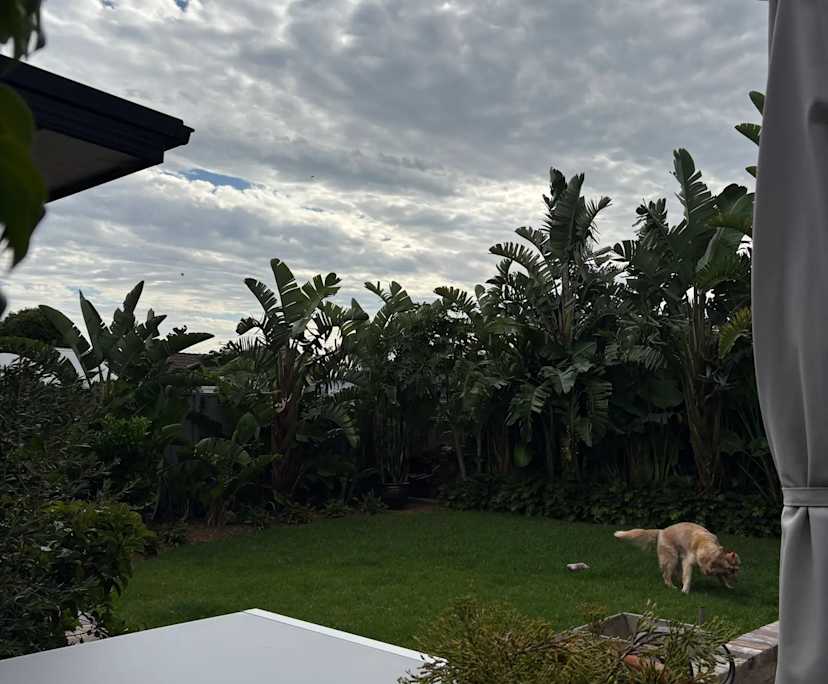 $310, Share-house, 3 bathrooms, Mayfield NSW 2304