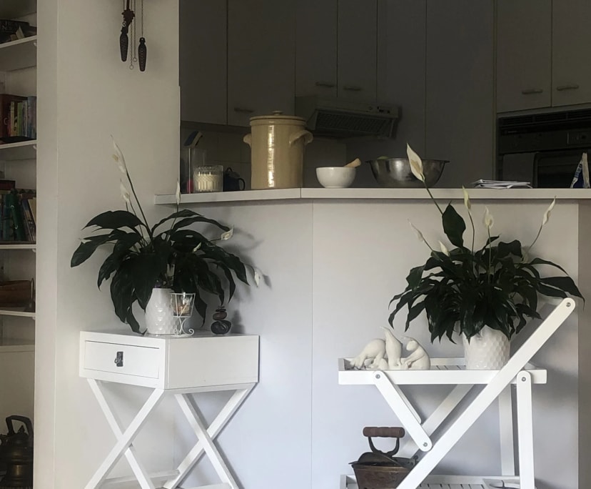 $400, Flatshare, 2 bathrooms, Surfers Paradise QLD 4217