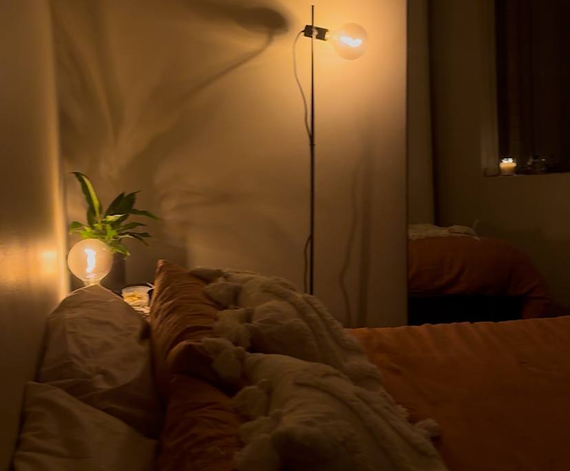 Furnished room in a flatshare