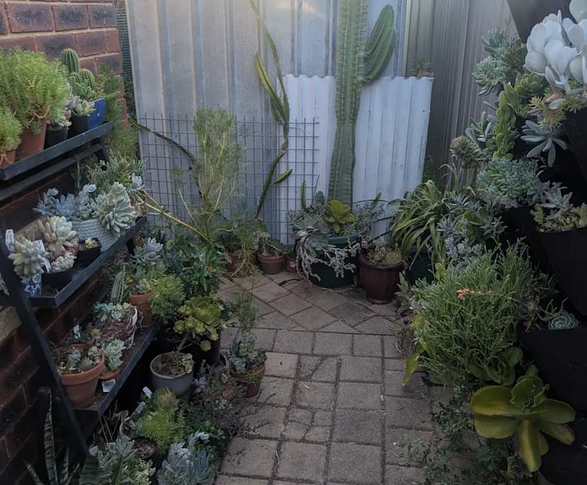 $300, Share-house, 4 bathrooms, Canning Vale WA 6155