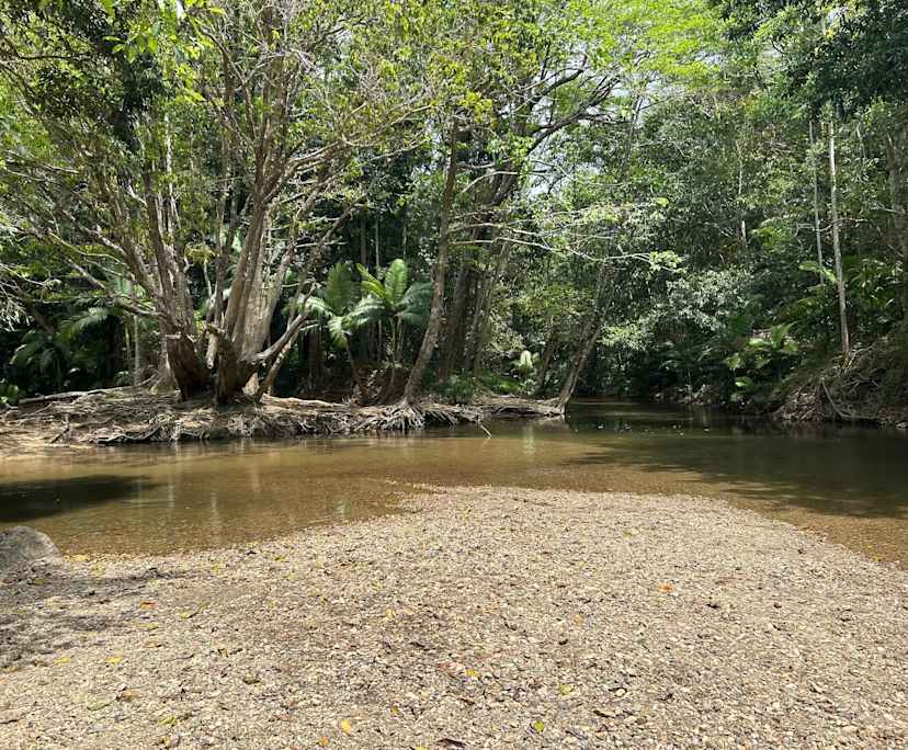 $200-250, Homestay, 2 rooms, Brinsmead QLD 4870, Brinsmead QLD 4870