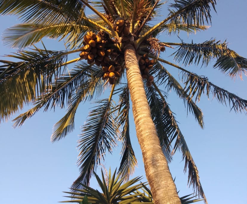 $315, Flatshare, 2 bathrooms, Sunrise Beach QLD 4567