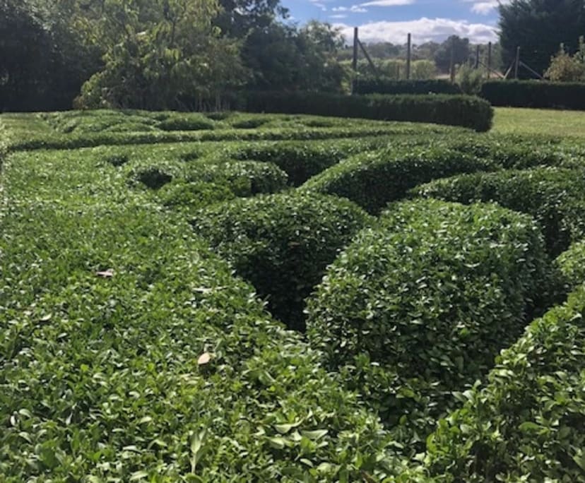 Room for Rent in Gundaroo, NSW 180, Flexible with...