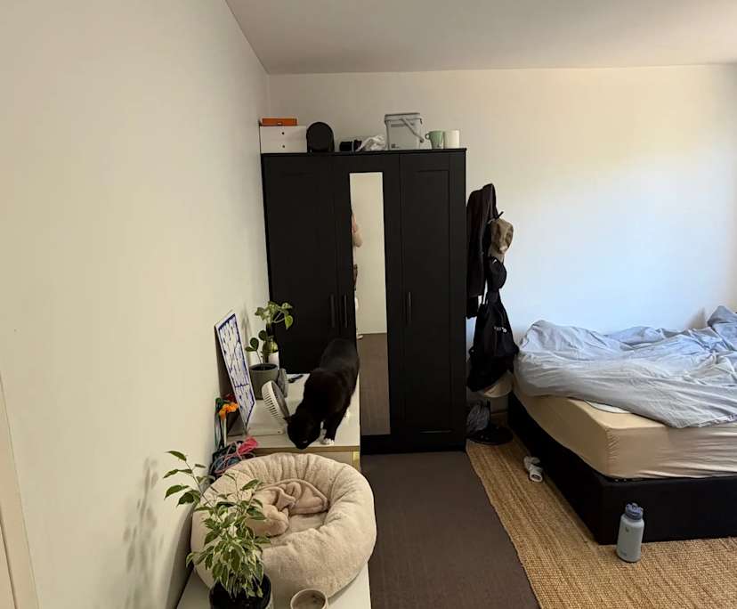 Unfurnished room in a share house