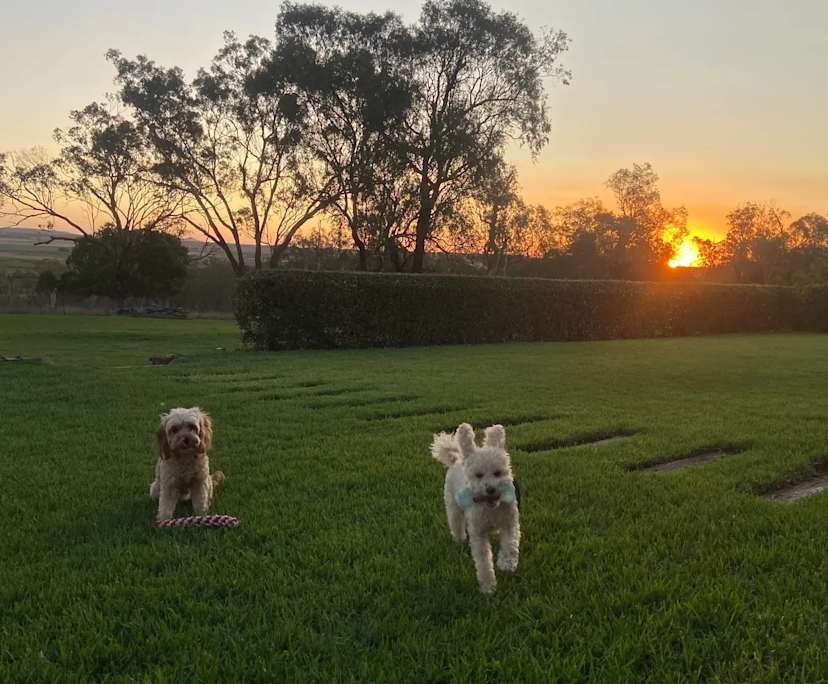 $280, Share-house, 6 bathrooms, Oakey QLD 4401