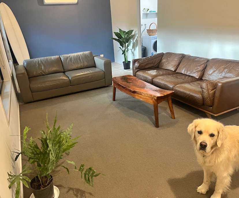 Unfurnished room in a share house